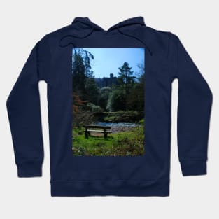 Rich Viewpoint Hoodie